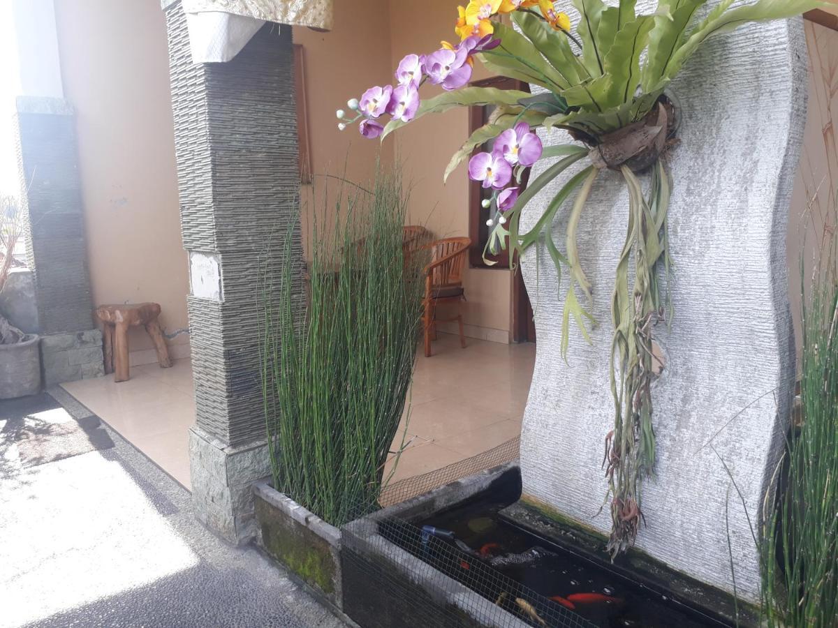 Adi House Affittacamere *